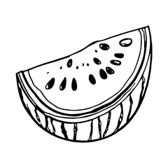 Vector illustration. Juicy watermelon silhouette. Coloring.