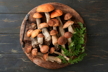 Porcini mushroom or mushroom an orange-cap boletus on old dark rustic wooden table backgrounds....