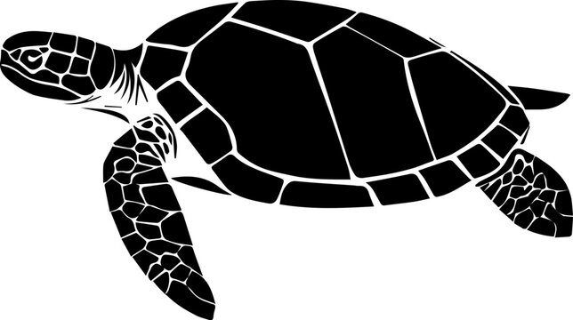 Archelon Turtle icon 3