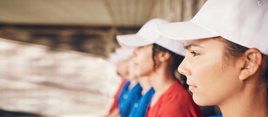 Watching, team together and women for baseball, sports and sitting for a game or contest. Serious, collaboration and a group of athlete people waiting for a match to start or looking at training