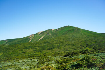 Fototapeta premium 岩手・秋田・山形県の三県にまたがる栗駒山
