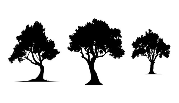 Vector illustration. Silhouette of trees with leaves. Template set.