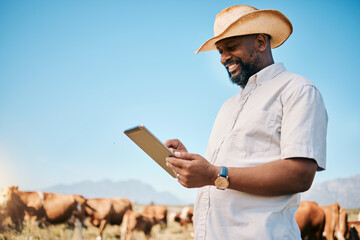 Happy black man, tablet and animals in agriculture, farming or sustainability in the countryside. African male person smile on technology with live stock, cows or cattle for small business or produce