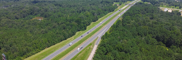 Panorama lush green Loblolly pine tree Pinus taeda in forestry along highway interstate 10 (I-10)...