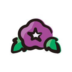 Morning glory - Flower icon/illustration (Hand-drawn line, colored version)