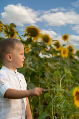 Boy in sunflowers. A small, happy and beautiful child stands in a field with yellow sunflowers in summer. Childhood concept. Symbol of Ukraine.