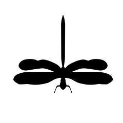 Dragonfly Silhouette 