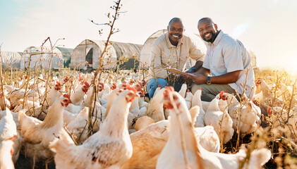 People, farmer checklist and chicken in agriculture, sustainability or eco friendly, free range and teamwork portrait. Happy, african men or small business owner with animals, clipboard and outdoor
