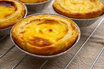 Portugal's traditional sweet dessert Pastel de nata egg custard tart pastry in cup