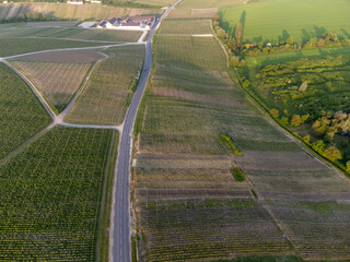 Panoramic aerial view on green premier cru champagne vineyards and fields near village Hautvillers...