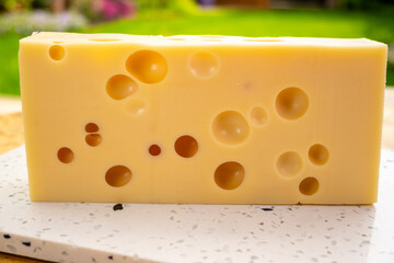 Cheese collection, french hard cheese with holes emmentaler close up