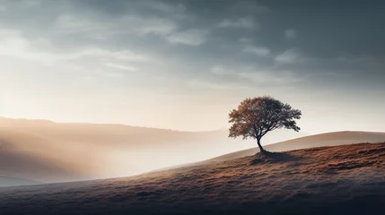 Poster A Tree Thrives Amidst the Desert's Barren Landscape © Linus