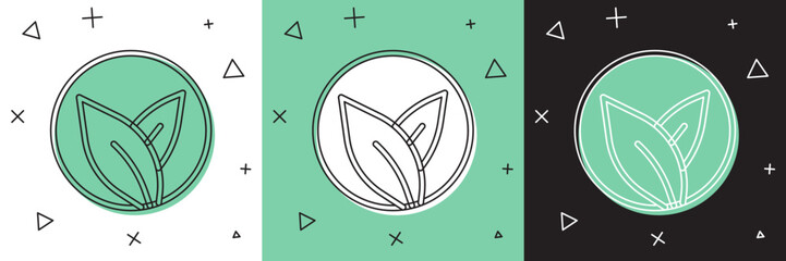 Set Tea leaf icon isolated on white and green, black background. Tea leaves. Vector