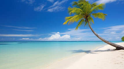 A Tranquil Blue Sea Meeting a Sandy Beach Adorned with Graceful Coconut Trees