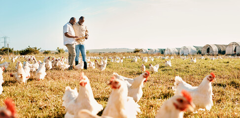 Black people, clipboard and farm with chicken livestock in agriculture and outdoor resources. Happy men working together for farming, sustainability and growth in supply chain in the countryside