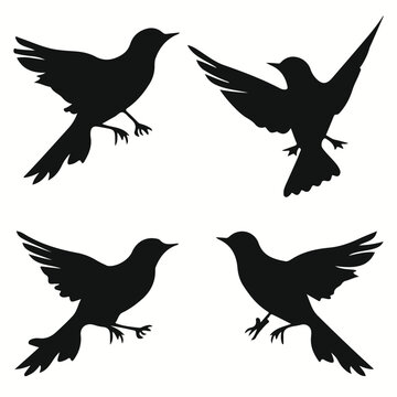 Nightingale silhouettes and icons. Black flat color simple elegant Nightingale animal vector and illustration.