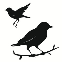 Obraz premium Nightingale silhouettes and icons. Black flat color simple elegant Nightingale animal vector and illustration.