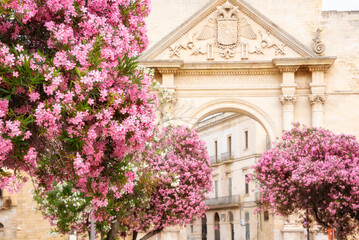Fototapeta na wymiar City of Lecce, Italy in summer with many pink flowers