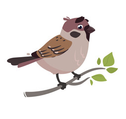 Funny bird Sparrow. Vector illustration of a field sparrow, feathered character. Cute print in flat cartoon style. Isolated on white background
