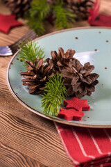 Empty plate with Christmas decorations.