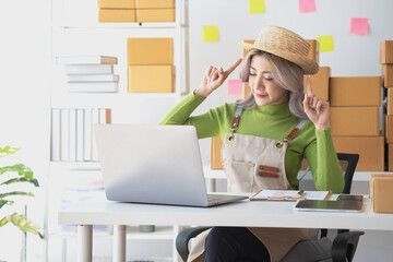 A cute Asian female blogger reviews products and camcorders on a home network, sells online, and...