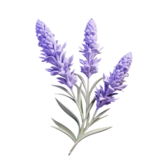 Zelfklevend Fotobehang Lavender flowers represented transparent background © AkuAku