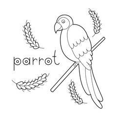 A parrot, colouring book for kids, vector illustration, Animals