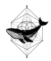 Whale hand drawn Vector illustration. Spiritual, Sacred geometry, humpback whale. Sketch Ink, Underwater world, Marine life
