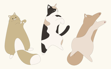 へそ天している猫セット