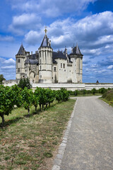 Fototapeta na wymiar Castle in the Loira France