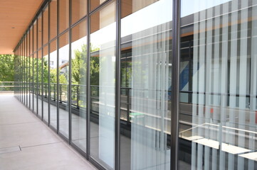 Window reflects scenery