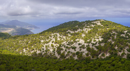 Fototapeta na wymiar forest and refuge of Puig de Sa Talaia, Camí de s'Arxiduc route, Valldemossa, Majorca, Balearic Islands, Spain