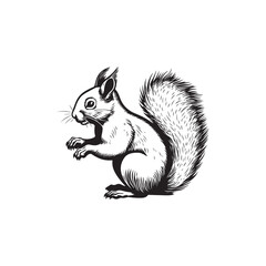 Squirrel - wild animal, vector design of squirrel isolated on white background © Анна Лепеха