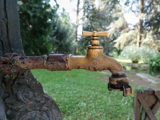 old brass hydrant in the garden