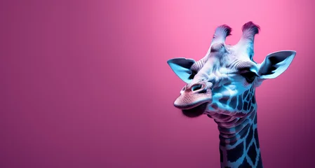 Gordijnen Close-up portrait of a wild animal with blue and pink neon lights. A tall animal with a long neck, a charming giraffe. © Uncanny Valley