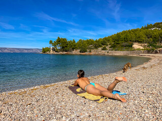 Attractive holiday maker is sunbathing and her cute dog is exploring the beach - obrazy, fototapety, plakaty