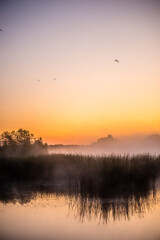 Fototapeta premium golden sunrise over the river with tree and reeds in mist at summer morning