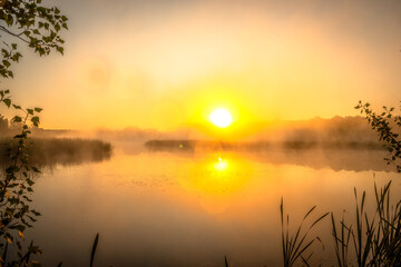Fototapeta na wymiar golden sunrise over the river with tree andreeds in mist at summer morning