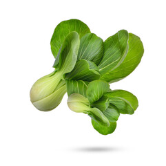 Pak Choi isolated on white background