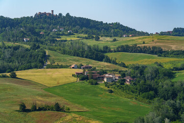 Obraz premium Hills of Oltrepo Pavese at June