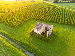 Aerial view of old farm house ruin in grapevine field in summer sunset evening at Italian vineyard