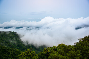 The beauty of the sea of ​​clouds and fog is like a fairyland on earth. Ginger Garden Agritourism Area, Miaoli County.