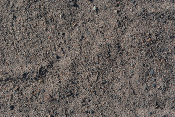 tire tracks in sand
