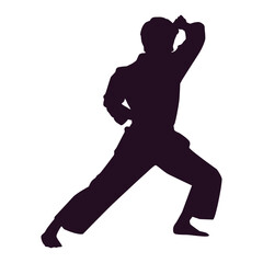 Fototapeta na wymiar Free vector hand drawn karate silhouette