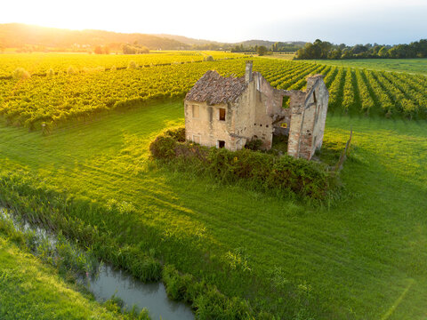 Aerial view of old farm house ruin in grapevine field in summer sunset evening at Italian vineyard