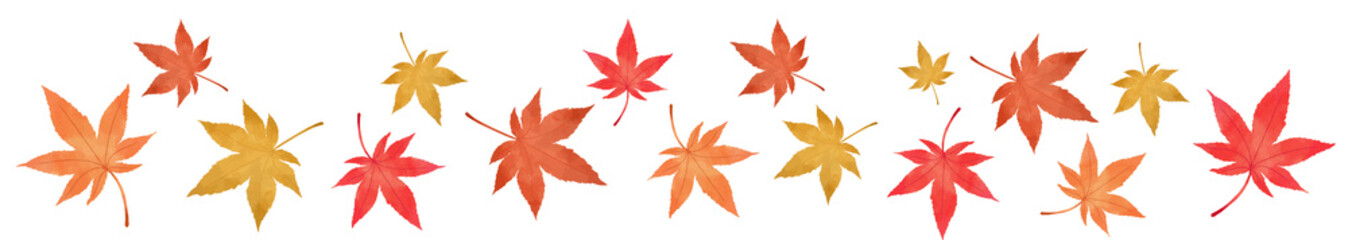 もみじの横ラインの白背景の壁紙
