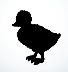 Cute duckling. Vector outline drawing