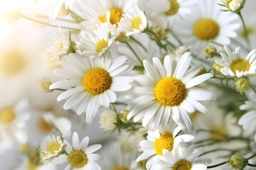 Obraz na płótnie Canvas Close-up beautiful flower background