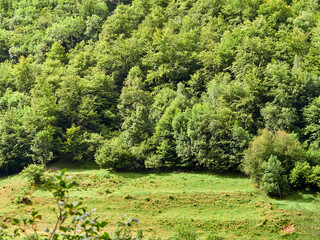 Fototapeta na wymiar Mountains and meadows. Somiedo Natural Park. Asturias. Spain. 