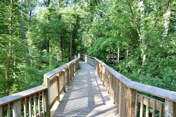 Fototapeta premium The empty old wood bridge trail in the woods.